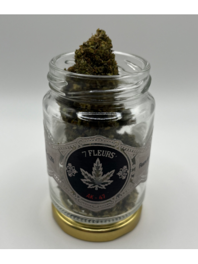 Fleur CBD AK-47 6,76% – Arômes épicés & pin – 7FLEURS