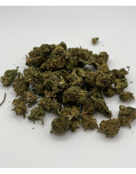 3G Pack / Fleur CBD White Widow – 7,55% | Sachet 3g – Arômes boisés, épicés & acidulés