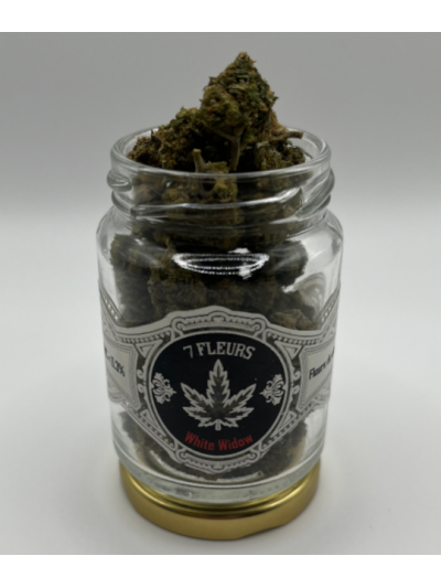 Fleur CBD White Widow 7,55% – Saveurs boisées & acidulées – 7FLEURS